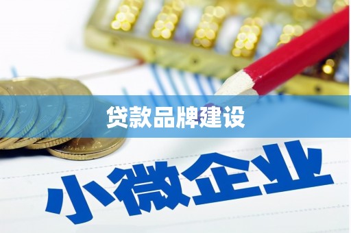 坪山新区贷款品牌建设
