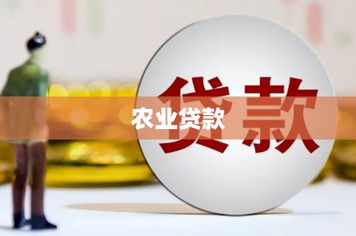 坪山新区农业贷款