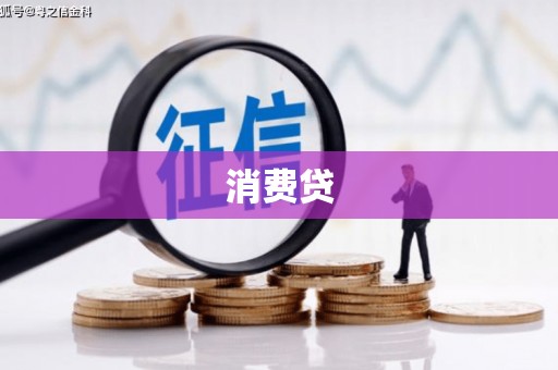 坪山新区消费贷