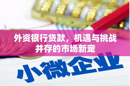 坪山新区外资银行贷款，机遇与挑战并存的市场新宠