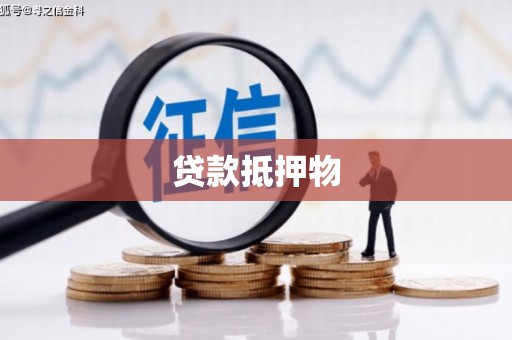 坪山新区贷款抵押物