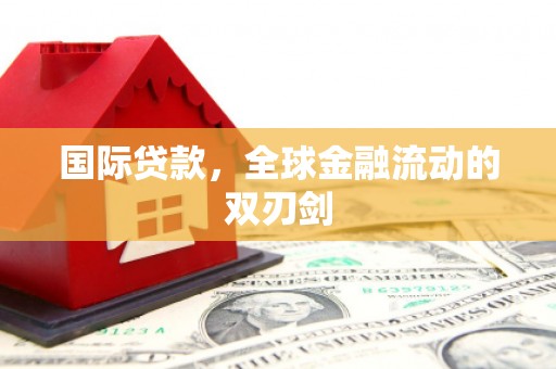坪山新区国际贷款，全球金融流动的双刃剑
