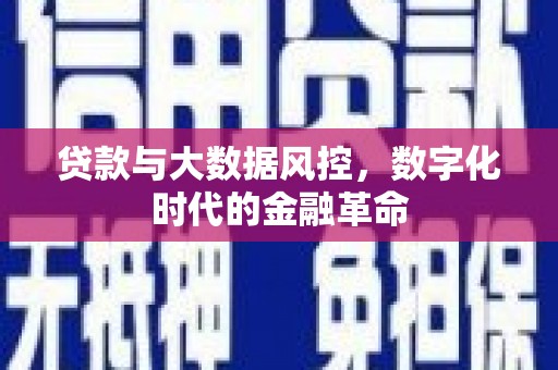 坪山新区贷款与大数据风控，数字化时代的金融革命