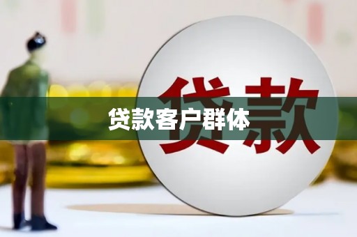 坪山新区贷款客户群体