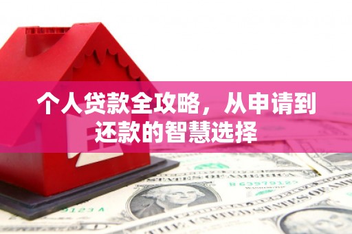 坪山新区个人贷款全攻略，从申请到还款的智慧选择