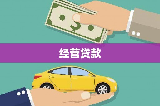 坪山新区经营贷款