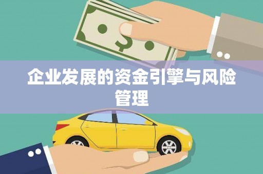 坪山新区企业发展的资金引擎与风险管理
