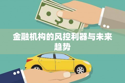 坪山新区金融机构的风控利器与未来趋势