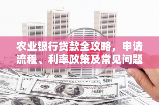 坪山新区农业银行贷款全攻略，申请流程、利率政策及常见问题解析