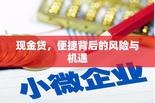 坪山新区现金贷，便捷背后的风险与机遇