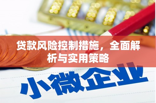 坪山新区贷款风险控制措施，全面解析与实用策略