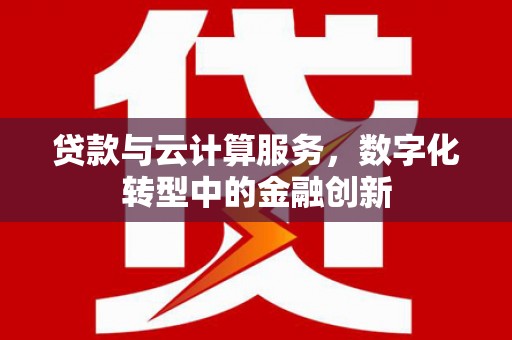 坪山新区贷款与云计算服务，数字化转型中的金融创新