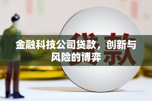 坪山新区金融科技公司贷款，创新与风险的博弈