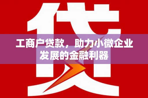 坪山新区工商户贷款，助力小微企业发展的金融利器