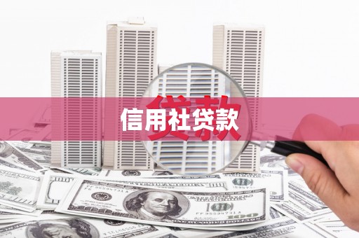 坪山新区信用社贷款