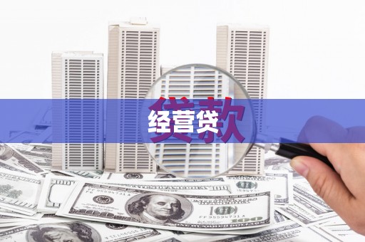 坪山新区经营贷