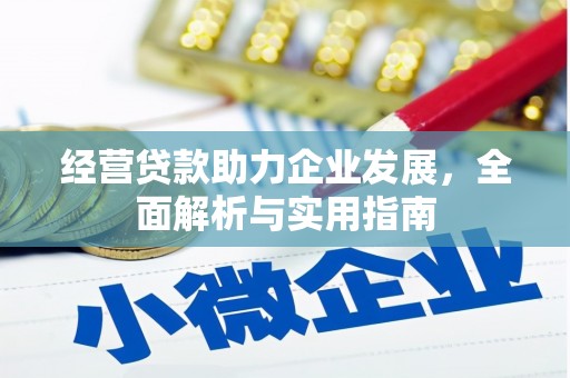坪山新区经营贷款助力企业发展，全面解析与实用指南