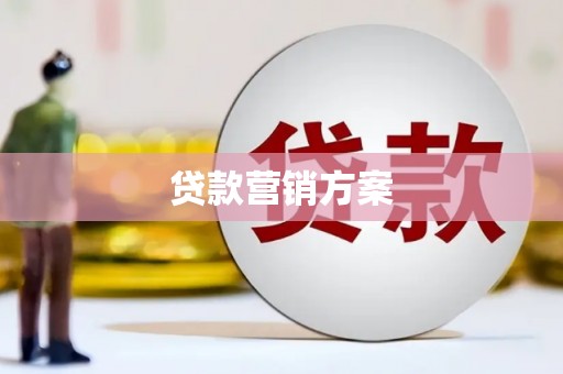 坪山新区贷款营销方案