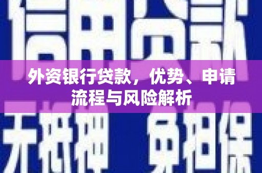 坪山新区外资银行贷款，优势、申请流程与风险解析
