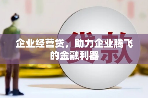 坪山新区企业经营贷，助力企业腾飞的金融利器