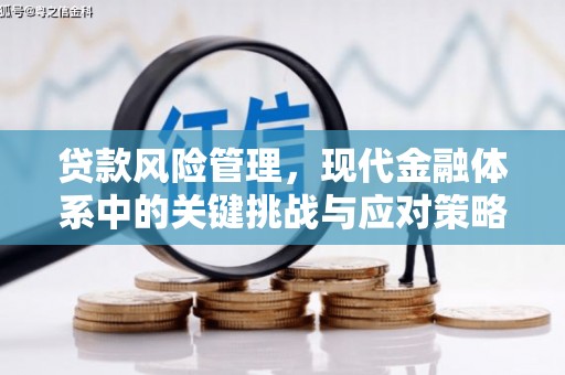 坪山新区贷款风险管理，现代金融体系中的关键挑战与应对策略