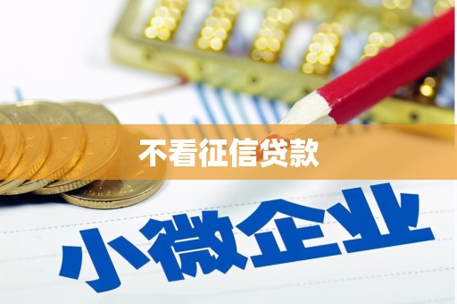 坪山新区不看征信贷款