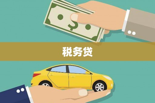 坪山新区税务贷