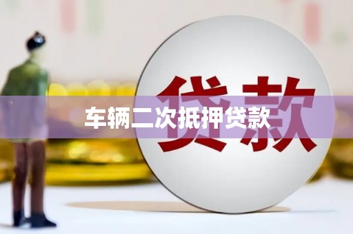 坪山新区车辆二次抵押贷款