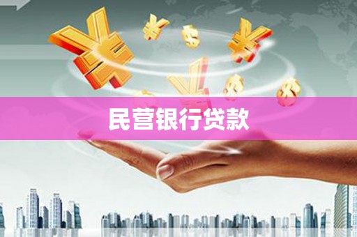 坪山新区民营银行贷款