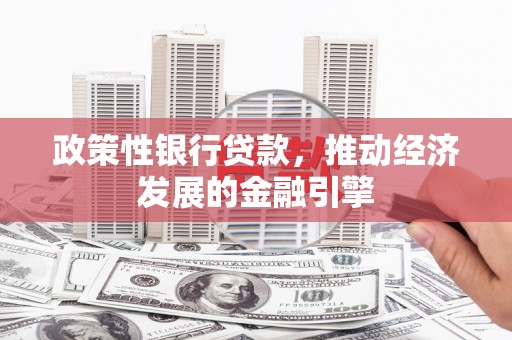 坪山新区政策性银行贷款，推动经济发展的金融引擎
