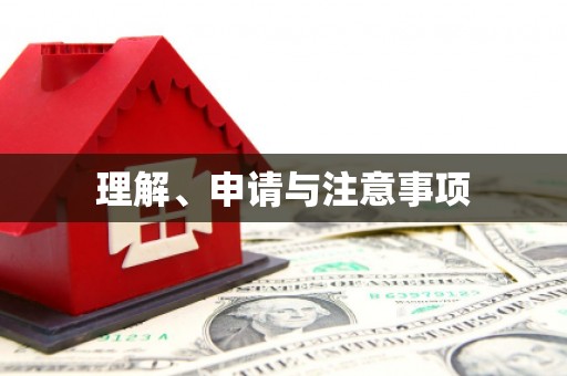 坪山新区理解、申请与注意事项