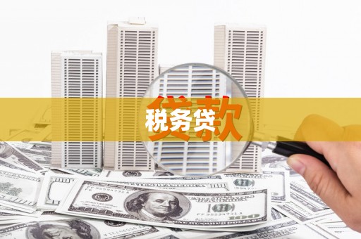 坪山新区税务贷