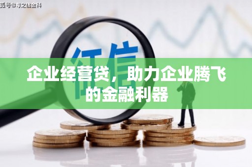 坪山新区企业经营贷，助力企业腾飞的金融利器