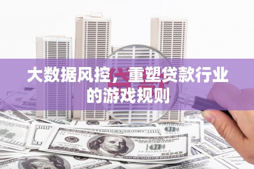 坪山新区大数据风控，重塑贷款行业的游戏规则
