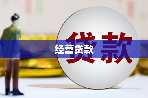 坪山新区经营贷款