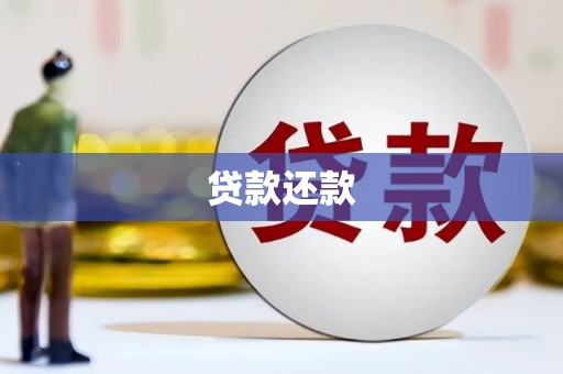 坪山新区贷款还款