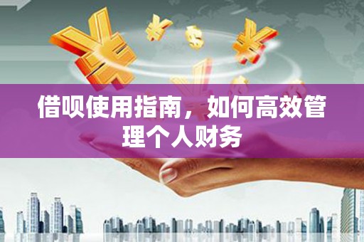 坪山新区借呗使用指南，如何高效管理个人财务
