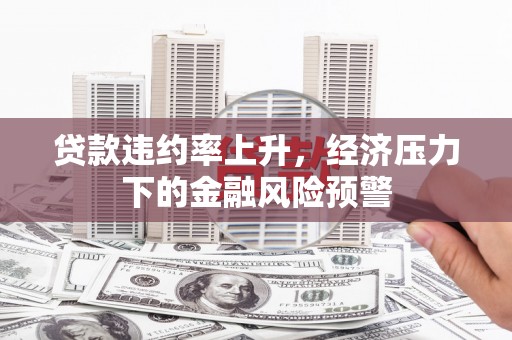 坪山新区贷款违约率上升，经济压力下的金融风险预警