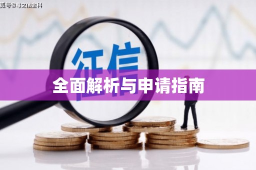 坪山新区全面解析与申请指南