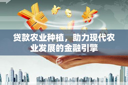 坪山新区贷款农业种植，助力现代农业发展的金融引擎