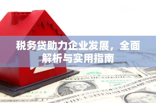 坪山新区税务贷助力企业发展，全面解析与实用指南