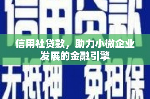 坪山新区信用社贷款，助力小微企业发展的金融引擎