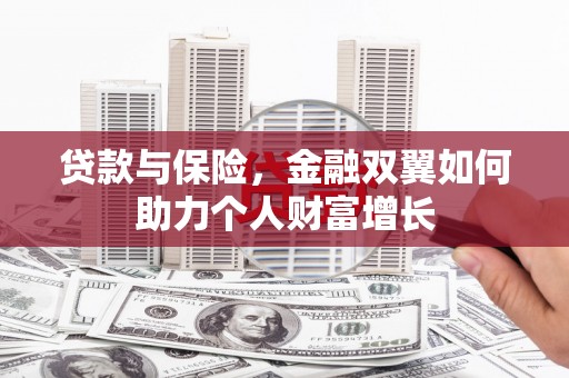坪山新区贷款与保险，金融双翼如何助力个人财富增长