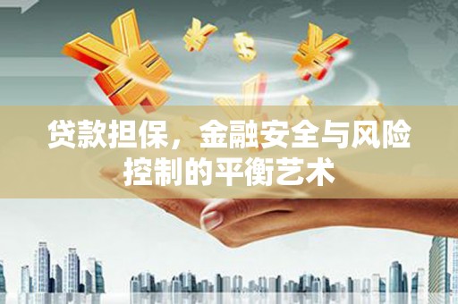 坪山新区贷款担保，金融安全与风险控制的平衡艺术