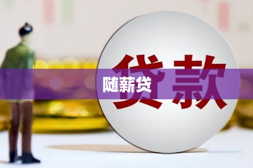 坪山新区随薪贷