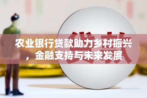 坪山新区农业银行贷款助力乡村振兴，金融支持与未来发展