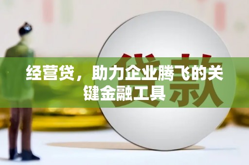 坪山新区经营贷，助力企业腾飞的关键金融工具