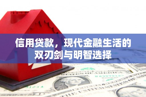 坪山新区信用贷款，现代金融生活的双刃剑与明智选择