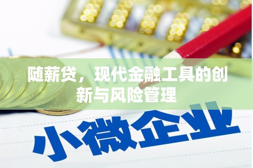 坪山新区随薪贷，现代金融工具的创新与风险管理