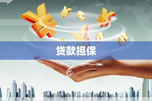 坪山新区贷款担保